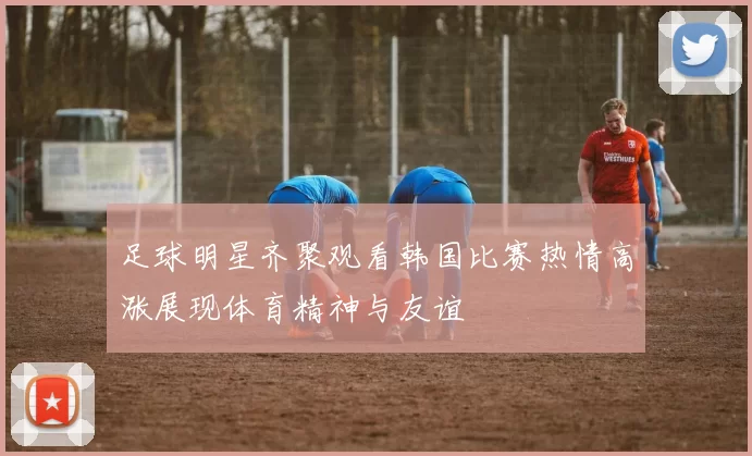 足球明星齐聚观看韩国比赛热情高涨展现体育精神与友谊