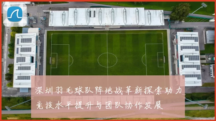 深圳羽毛球队阵地战革新探索助力竞技水平提升与团队协作发展