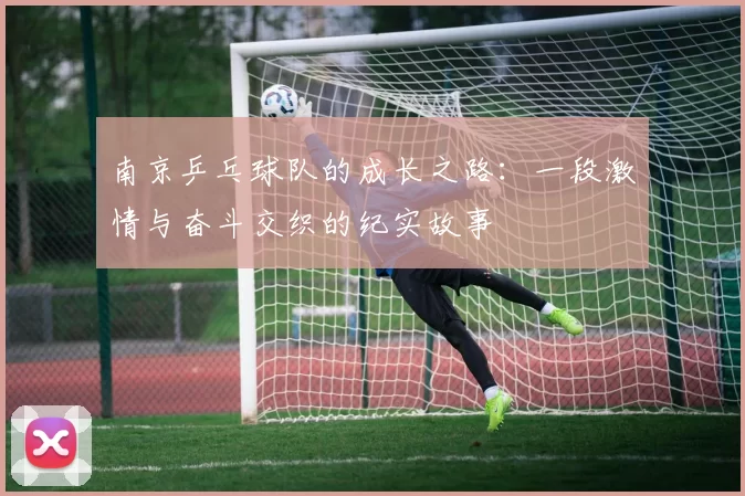 南京乒乓球队的成长之路：一段激情与奋斗交织的纪实故事