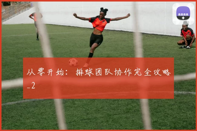 从零开始：排球团队协作完全攻略_2