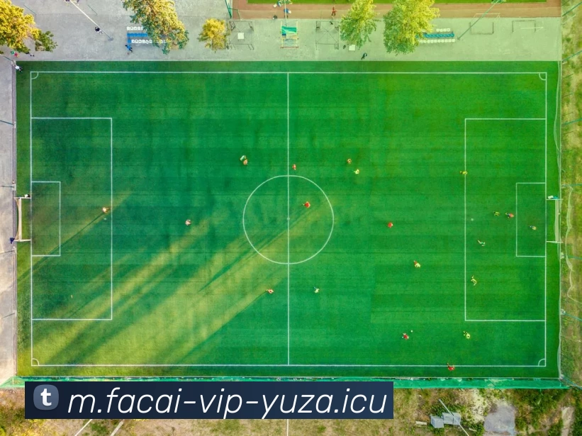 爱游戏体育APP 封面图